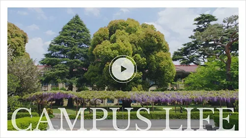 RIKKYO CAMPUS LIFE