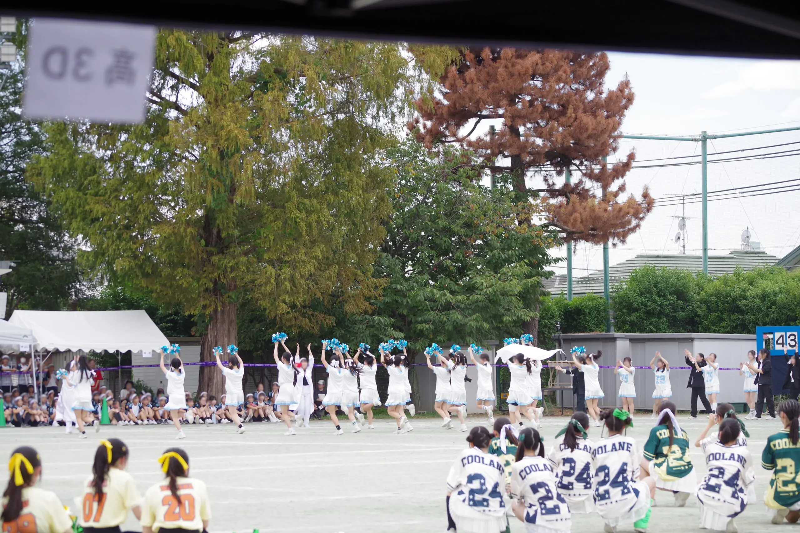 第48回体育祭が行われました | 立教女学院中学校・高等学校
