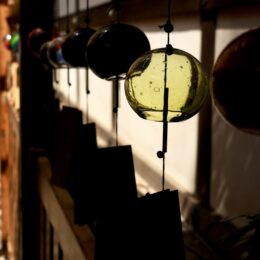 高校写真部　川越周辺の郊外撮影に行きました