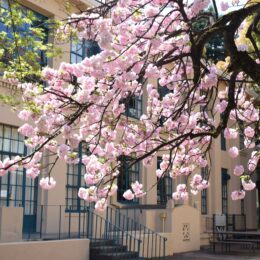入学式が行われました