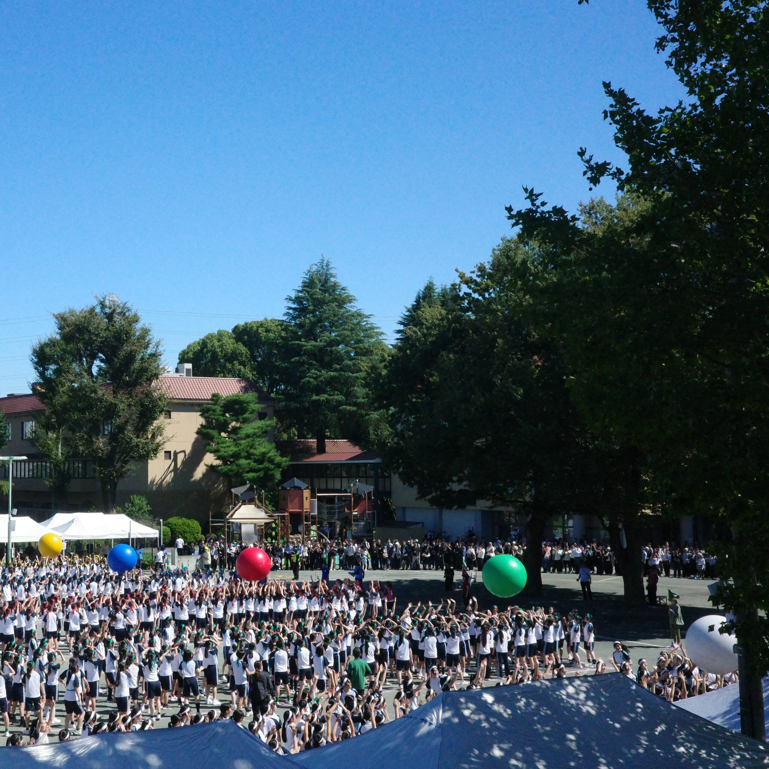 第49回体育祭が行われました
